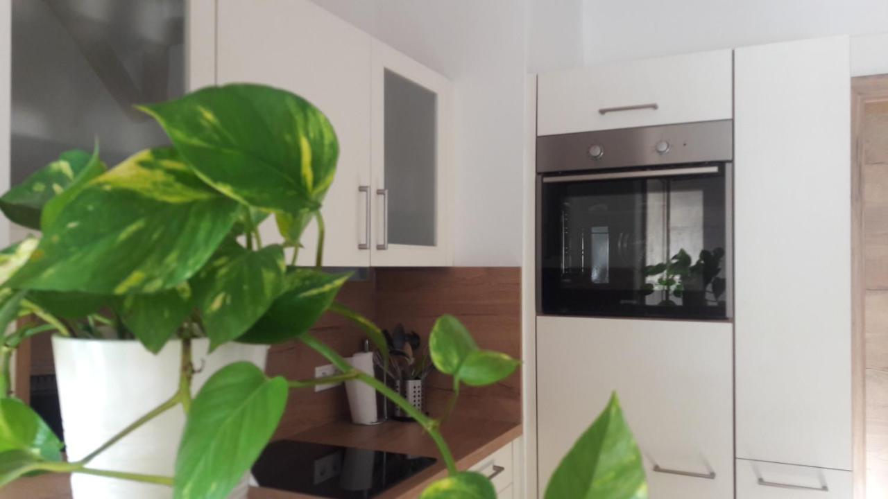 Ferienhaus Gerlach هينترسي المظهر الخارجي الصورة